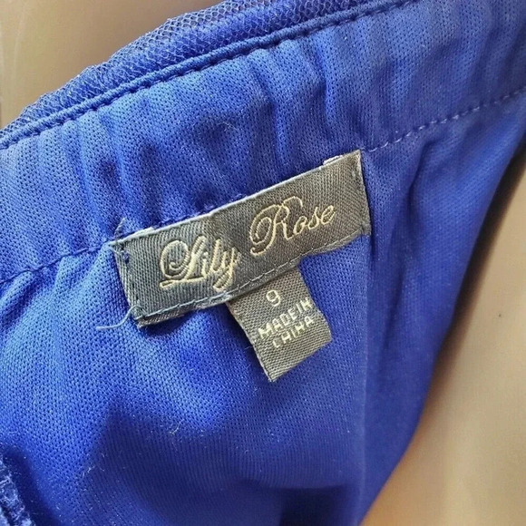 Lily Rose Brand Blue Strapless Knee Length Tule Rhinestone Size 9 Formal Dress - Picture 5 of 10